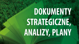 Dokumenty stategiczne, analizy, plany W tle grafiki widać książkę, na pierwszym planie napis: Dokumenty strategiczne, analizy, plany