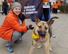 Organizatorka "Biegu na sześć łap" z psem