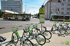 Rowery miejskie, w tle pojazdy komunikacji publicznej